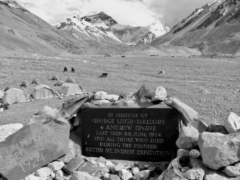 87836464_110553670548743_5834168843425021952_n The Mallory